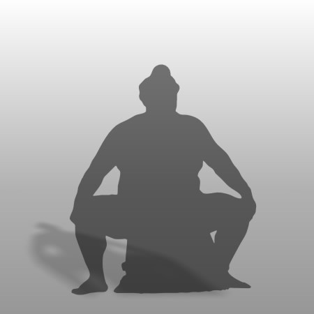 formZ 3D シルエット silhouette 男性 力士 横綱 化粧廻し 土俵入り sumo wrestlers 相撲 四股を踏む 日本 国技