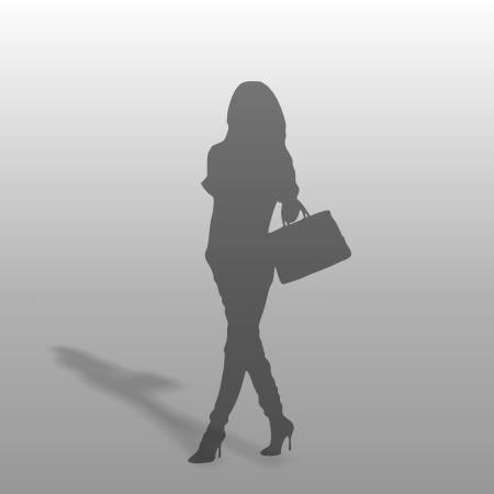 formZ 3D シルエット silhouette 女性 パンプス ハイヒール 歩く walk 鞄 バッグ