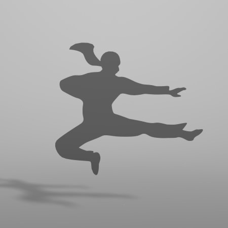 formZ 3D シルエット silhouette 女性 woman female lady ジャンプキック 格闘技