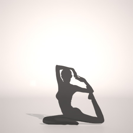 formZ 3D シルエット silhouette 女性 woman female lady ヨガ ヨーガ yoga 体操 gym フィットネス fitness ストレッチ stretch