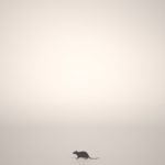 【シルエット】ネズミ【formZ】 mouse_0002