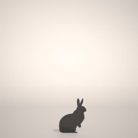 formZ 3D シルエット silhouette 動物 animal うさぎ ウサギ 兎 卯 rabbit