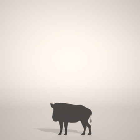 formZ 3D silhouette 動物 animal イノシシのシルエット いのしし 猪 亥 boar