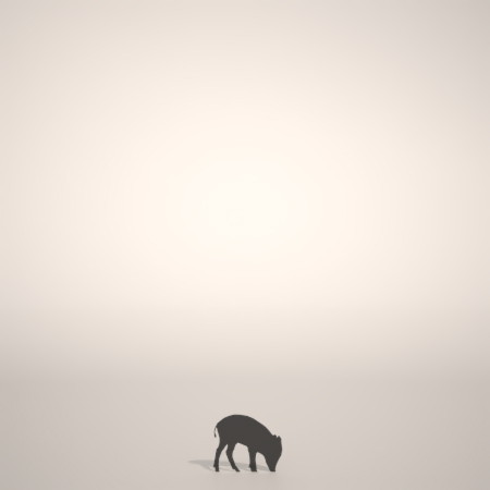 formZ 3D silhouette 動物 animal うり坊のシルエット いのしし 猪 亥 boar