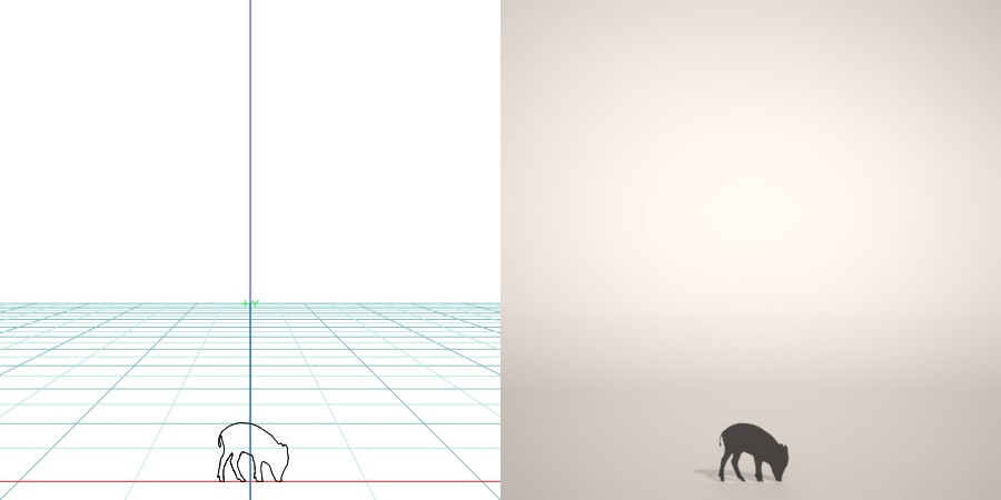formZ 3D silhouette 動物 animal うり坊のシルエット いのしし 猪 亥 boar
