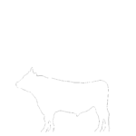 【2D部品】牛【DXF/autocad DWG】 2dsa-cow_0023