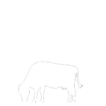 【2D部品】牧草を食べる牛【DXF/autocad DWG】 2dsa-cow_0024