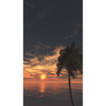 【CG】海と太陽とヤシの木【背景画像】 bgi_0029