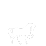 【2D部品】馬【DXF/autocad DWG】 2dsa-hor_0002