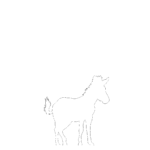 【2D部品】馬【DXF/autocad DWG】 2dsa-hor_0003