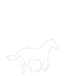 【2D部品】馬【DXF/autocad DWG】 2dsa-hor_0004