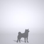 【シルエット】柴犬【formZ】 dog_0015