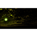 フリーデータ,2D,CG,背景画像,空,雲,夜,暗闇,緑色に輝く恒星